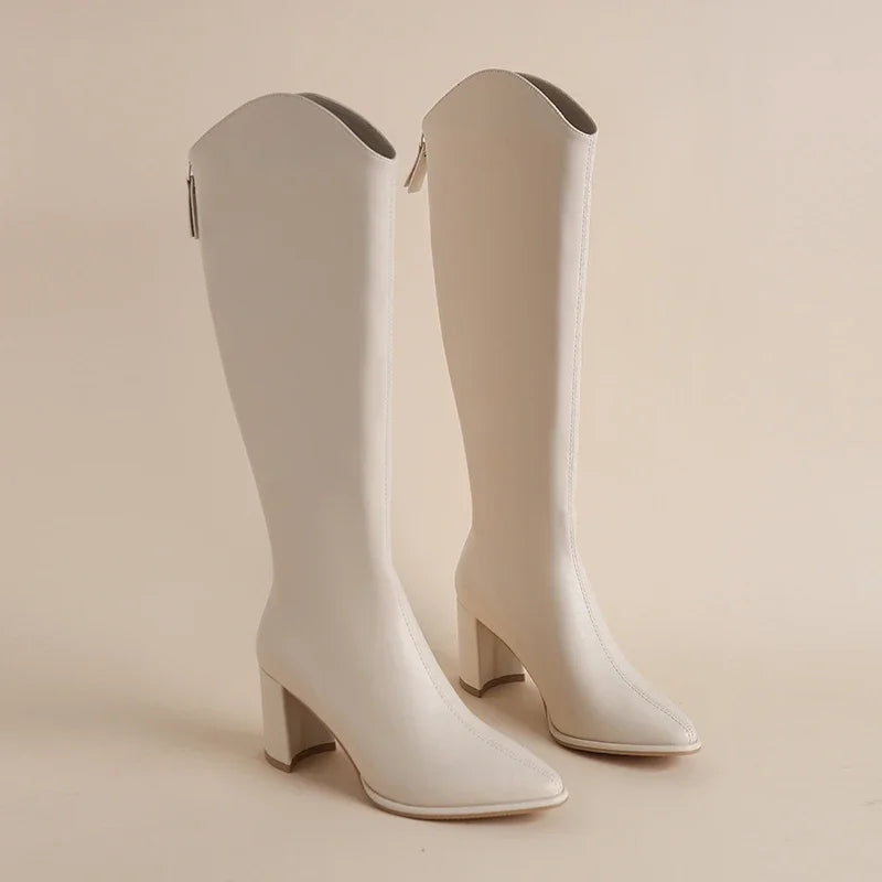 Alice | High Sleek Boots